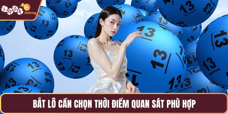 Bắt lô cần chọn thời điểm quan sát phù hợp